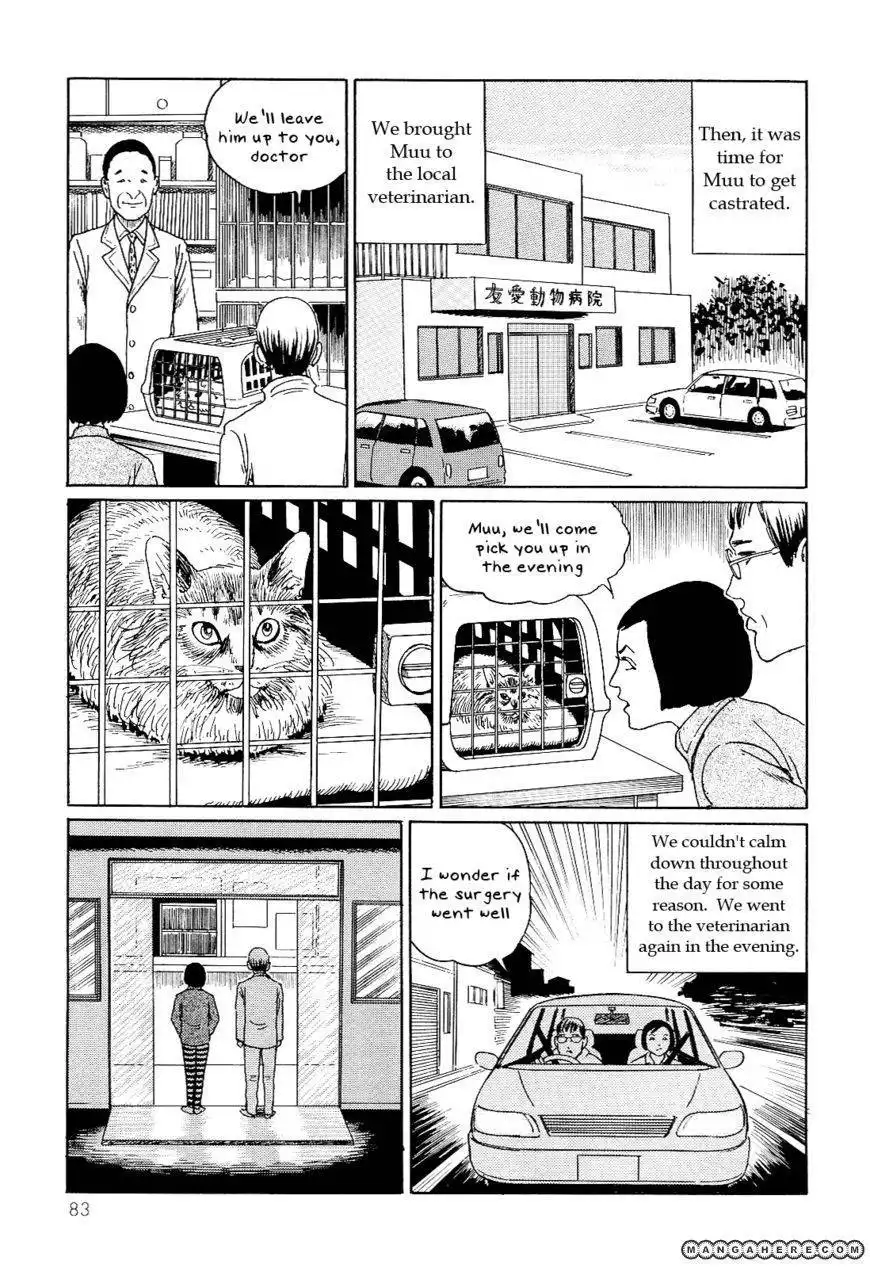 Ito Junji's Cat Diary Chapter 8 5